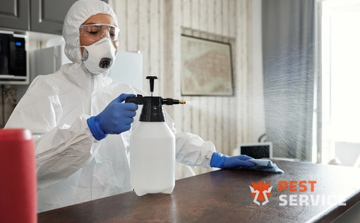 Дезинфекция в Людиново